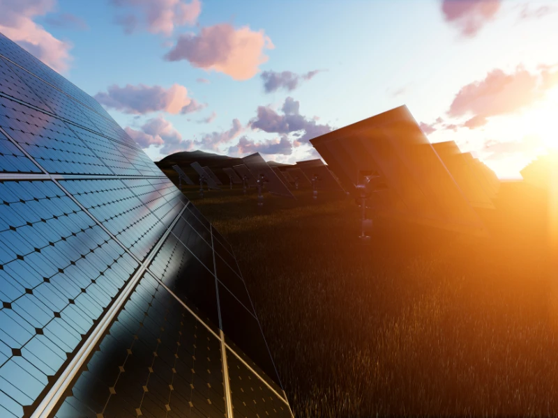 Ground-mounted bifacial solar panels capturing sunlight in a commercial solar power plant